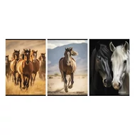 Füzet vonalas STREET A/4 54 lapos Horses margóval