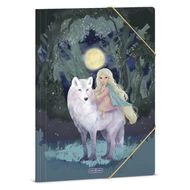 Gumis mappa ARS UNA A/4 Northern Lights