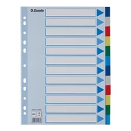 Regiszter ESSELTE A/4 műanyag 12 részes
