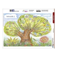 Tanulói munkalap STIEFEL A/4 névszók I.