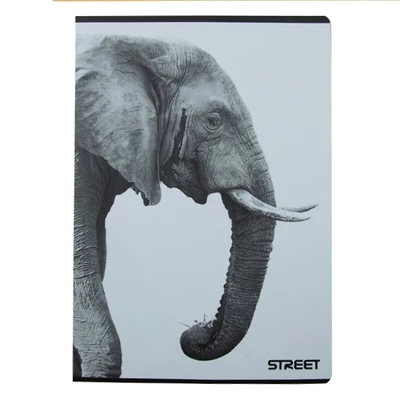 Füzet kockás STREET A/4 54 lapos Safari