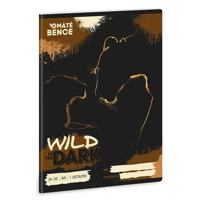 Füzet vonalas ARS UNA A/5 32 lapos 14-32 1.osztályos Wild In The Dark