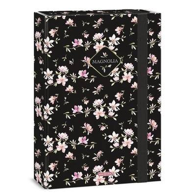 Füzetbox ARS UNA A/4 Magnolia 5542