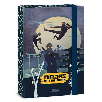 Füzetbox ARS UNA A/4 Ninjas In The Dark