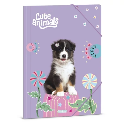 Gumis mappa ARS UNA A/4 Cute Animals-Aussie